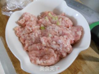 白菜梗鲜肉包的做法步骤：6