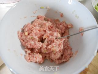 白菜梗鲜肉包的做法步骤：7