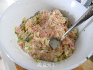 白菜梗鲜肉包的做法步骤：8