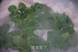 草头豆腐衣鸡蛋汤的做法步骤：6