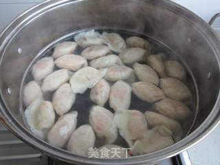 胡萝卜羊肉饺子的做法步骤:14
