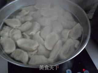 萝卜肉馅水饺的做法步骤:10