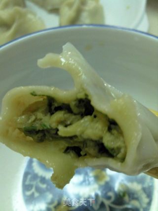 韭菜猪肉馅水饺的做法步骤:6