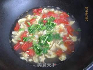 西红柿白蛤鸡蛋汤的做法步骤:9