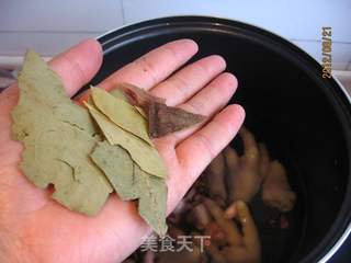 花生炖鸡爪的做法步骤:10