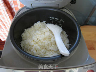 金枪鱼沙拉紫菜包饭的做法步骤:4