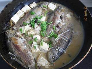 鲫鱼炖豆腐的做法步骤:8