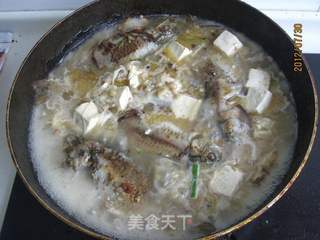 鲫鱼炖豆腐的做法步骤:7