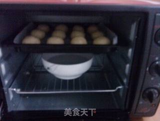 奶油蜜豆小餐包(中种)的做法步骤:13