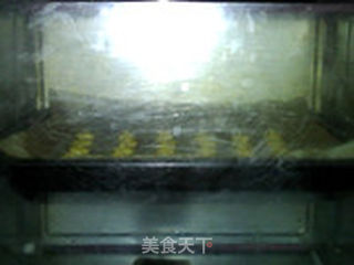 蛋黄圆的做法步骤:15