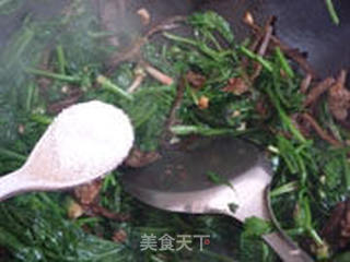 茶树菇炒菠菜的做法步骤：10