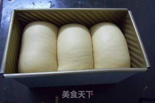 老姜红糖土司的做法步骤:8
