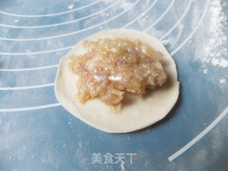 鸽子煎饺的做法步骤:5