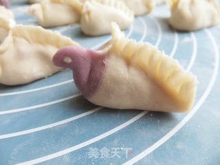 鸽子煎饺的做法步骤:9