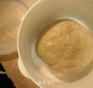 怎样用北非塔吉锅蒸中式面点——荞面荠菜豆渣包的做法步骤:3