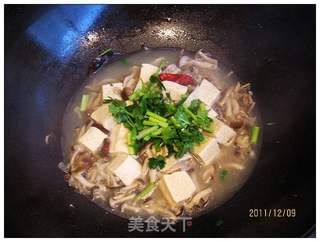 冻豆腐炖蟹味菇的做法步骤:12