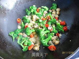 西兰花炒贝丁的做法步骤:7