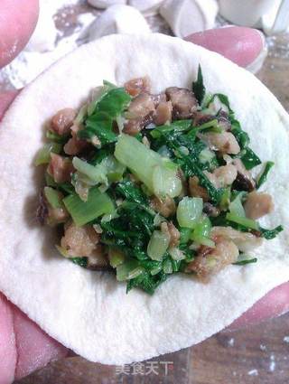 香菇油渣青菜包的做法步骤:4