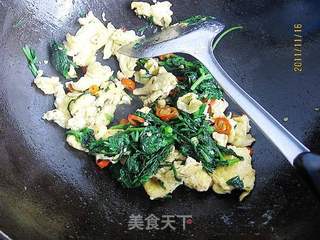 茼蒿叶炒鸡蛋的做法步骤:9