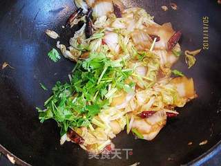 豉油辣白菜的做法步骤:9