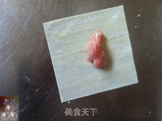 小混沌的做法步骤:3