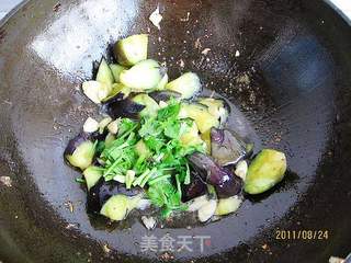 蒜烧茄子的做法步骤:4