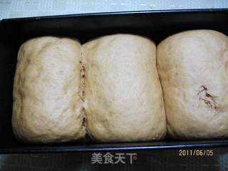 咖啡吐司的做法步骤:6