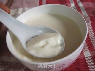 姜撞奶的做法步骤:9