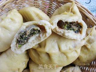 茴香馅肉包的做法步骤:6