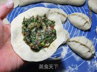 茴香馅肉包的做法步骤:4