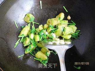 香菜茄子的做法步骤:8