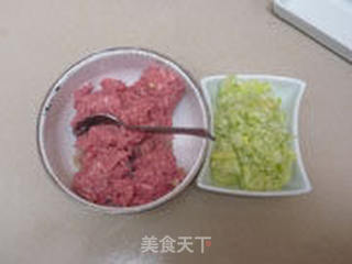 葱香羊肉饺子的做法步骤:6