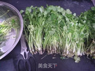 自制香菜粉的做法步骤:2