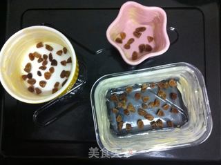 淡奶油的终结者——芙纽多的做法步骤:4