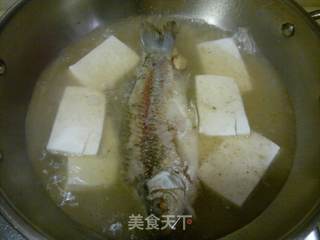 鲫鱼豆腐汤的做法步骤:6
