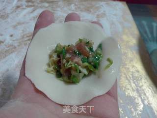 大肚韭菜猪肉水饺的做法步骤:5