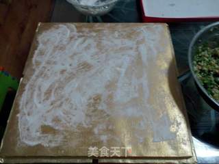 大肚韭菜猪肉水饺的做法步骤:6