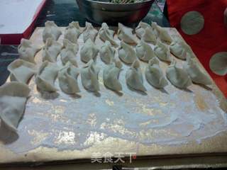 大肚韭菜猪肉水饺的做法步骤:8