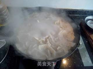 大肚韭菜猪肉水饺的做法步骤:9