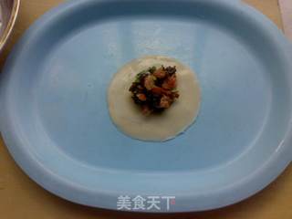 虫草云耳香菜饺的做法步骤:8