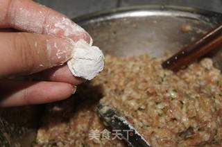 【美之扣饺子料理器使用报告】--茡荠肉馅扁食的做法步骤:8