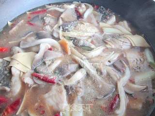 蘑菇炖鲤鱼的做法步骤:13