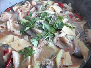 蘑菇炖鲤鱼的做法步骤:14