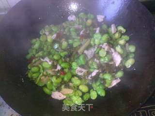 蚕豆雪菜肉丝 - 可口下饭菜的做法步骤:7