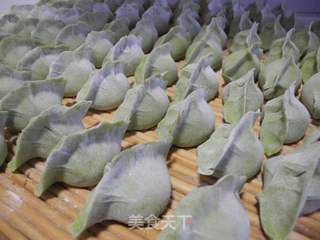 翠玉白菜猪肉水饺的做法步骤:9