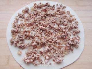 羊肉薄饼——新疆味道的做法步骤:11