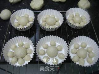 小狮子面包的做法步骤:5