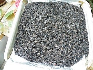 佐餐必备---黑芝麻盐的做法步骤:2