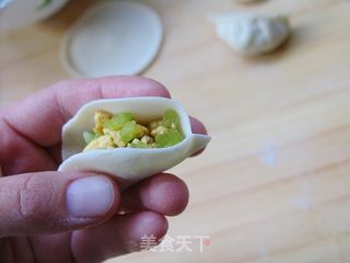 做好吃好看又不一般的饺子——豆浆芹香鸡蛋水饺的做法步骤:13