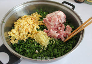 新手也没问题-韭菜鸡蛋猪肉饼的做法步骤:6